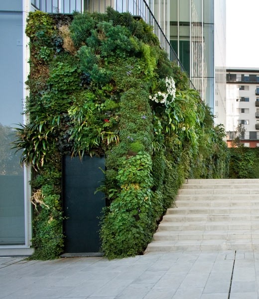 Vertikale hager patrick blanc samstroy konstruksjon, design ...