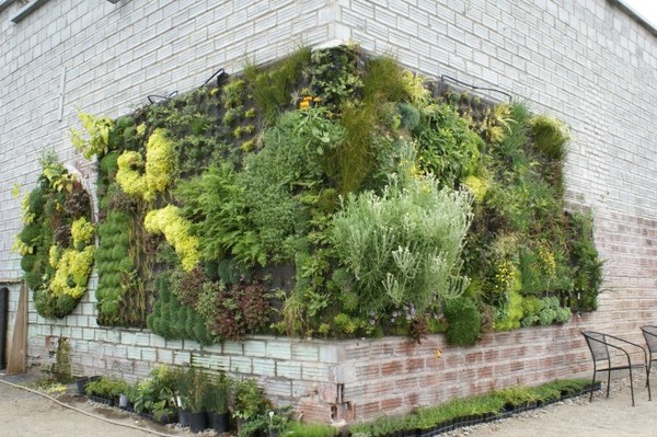 Vertikale hager patrick blanc samstroy konstruksjon, design ...