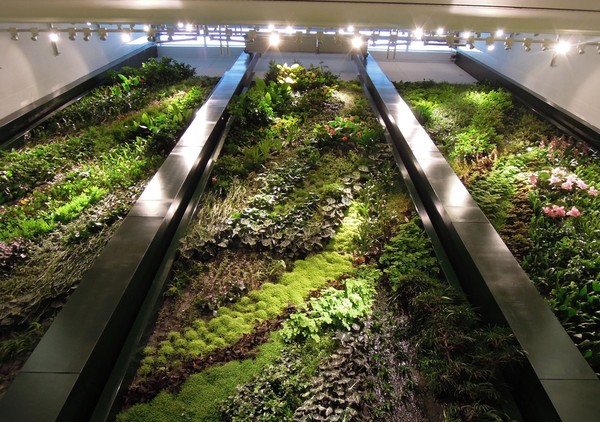 Vertikale hager patrick blanc samstroy konstruksjon, design ...